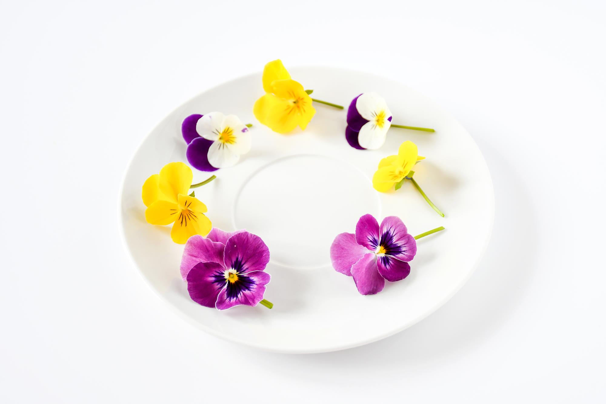 Bright plated dessert with edible flowers and sauce